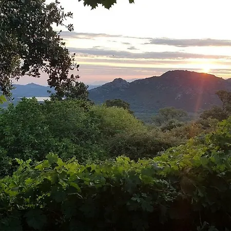 Holiday home Aghja Murato Muro (Corsica)